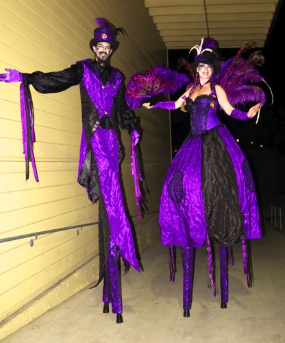 Purple & Black Mardi Gras Feathered